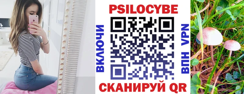 купить наркотик  Печора  Псилоцибиновые грибы GOLDEN TEACHER 