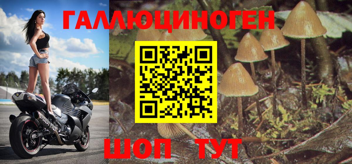 Псилоцибиновые грибы Magic Shrooms Печора