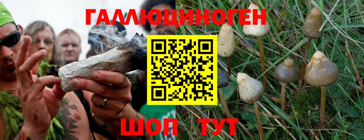Галлюциногенные грибы Magic Shrooms  Вход с VPN  где можно купить наркотик  Печора 