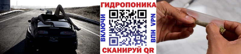 Каннабис сатива  Печора 